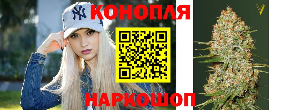 Конопля OG Kush Узловая